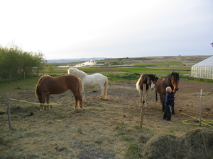 Horft fr� S�lbyrgi a� Deildartungu